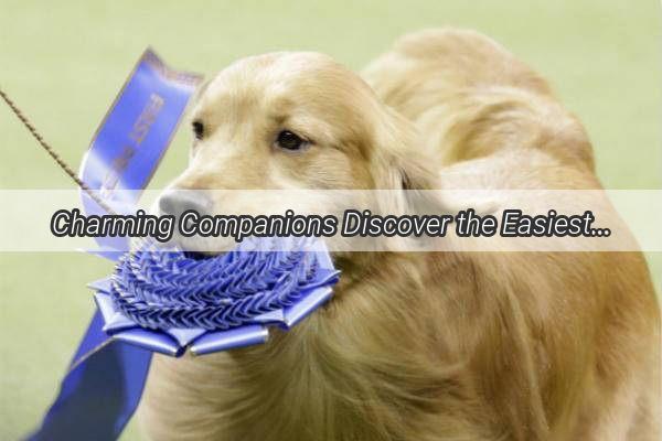 Charming Companions Discover the EasiesttoCareFor Most Adorable Dogs